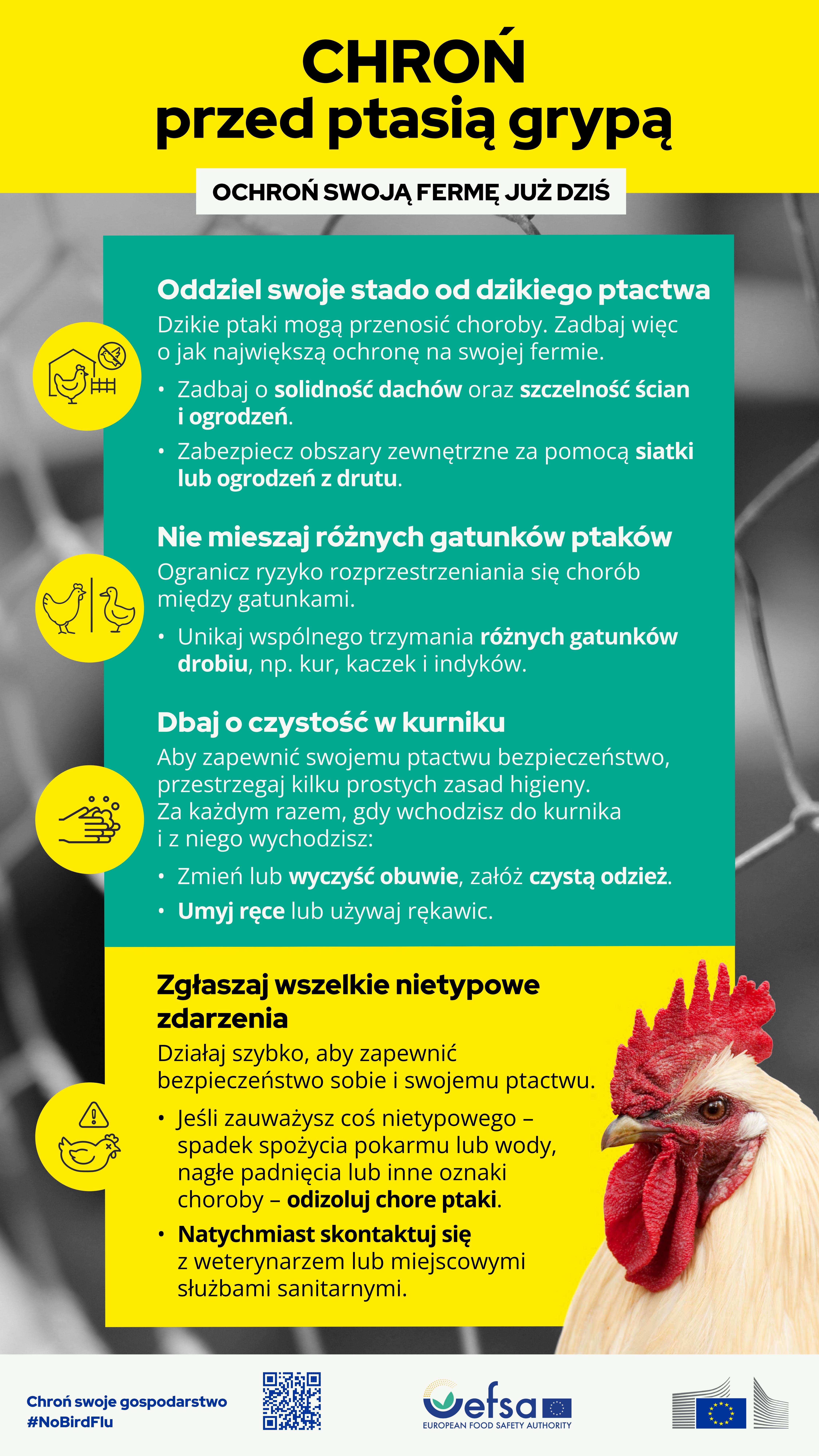 Ptasia grypa