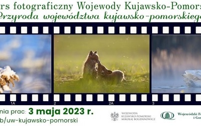Zdjęcie do Konkurs fotograficzny &quot;Przyroda Wojew&oacute;dztwa Kujawsko-Pomorskiego&quot;