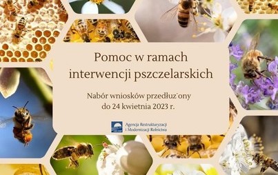 Zdjęcie do Trzy interwencje pszczelarskie &ndash; nab&oacute;r wniosk&oacute;w przedłużony do 24 kwietnia 2023 r.