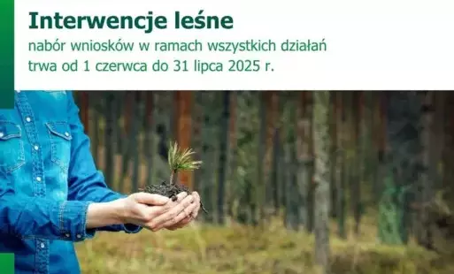 Nabór wniosków w ramach programu interwencji leśnych
