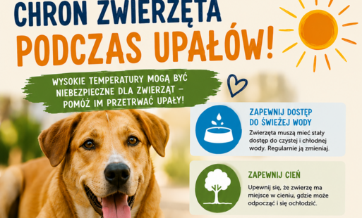 Chroń zwierzęta podczas upałów