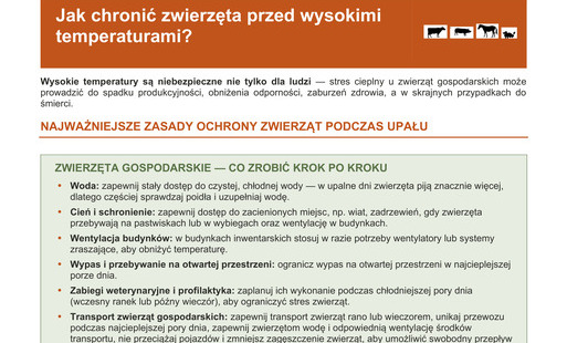 Najważniejsze zasady ochrony zwierząt przed upałami