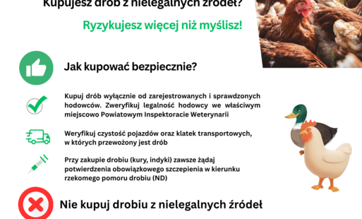 Handel drobiem