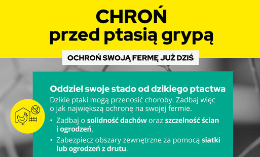 ptasia grypa